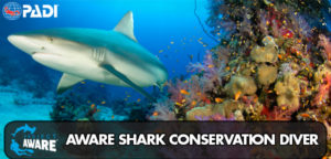 aware-shark-conservation-diver
