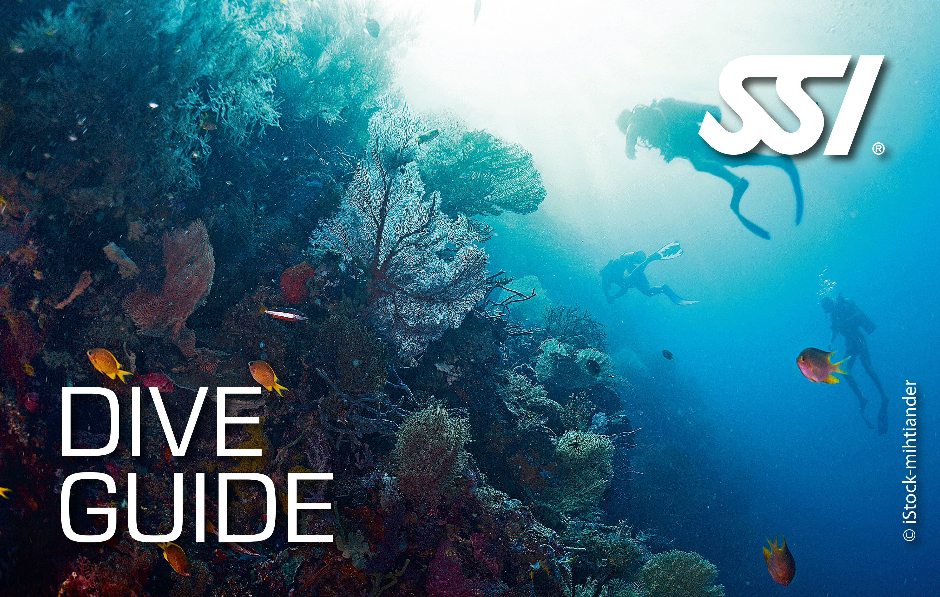 Dive Guide SSI Into The Sea ASD
