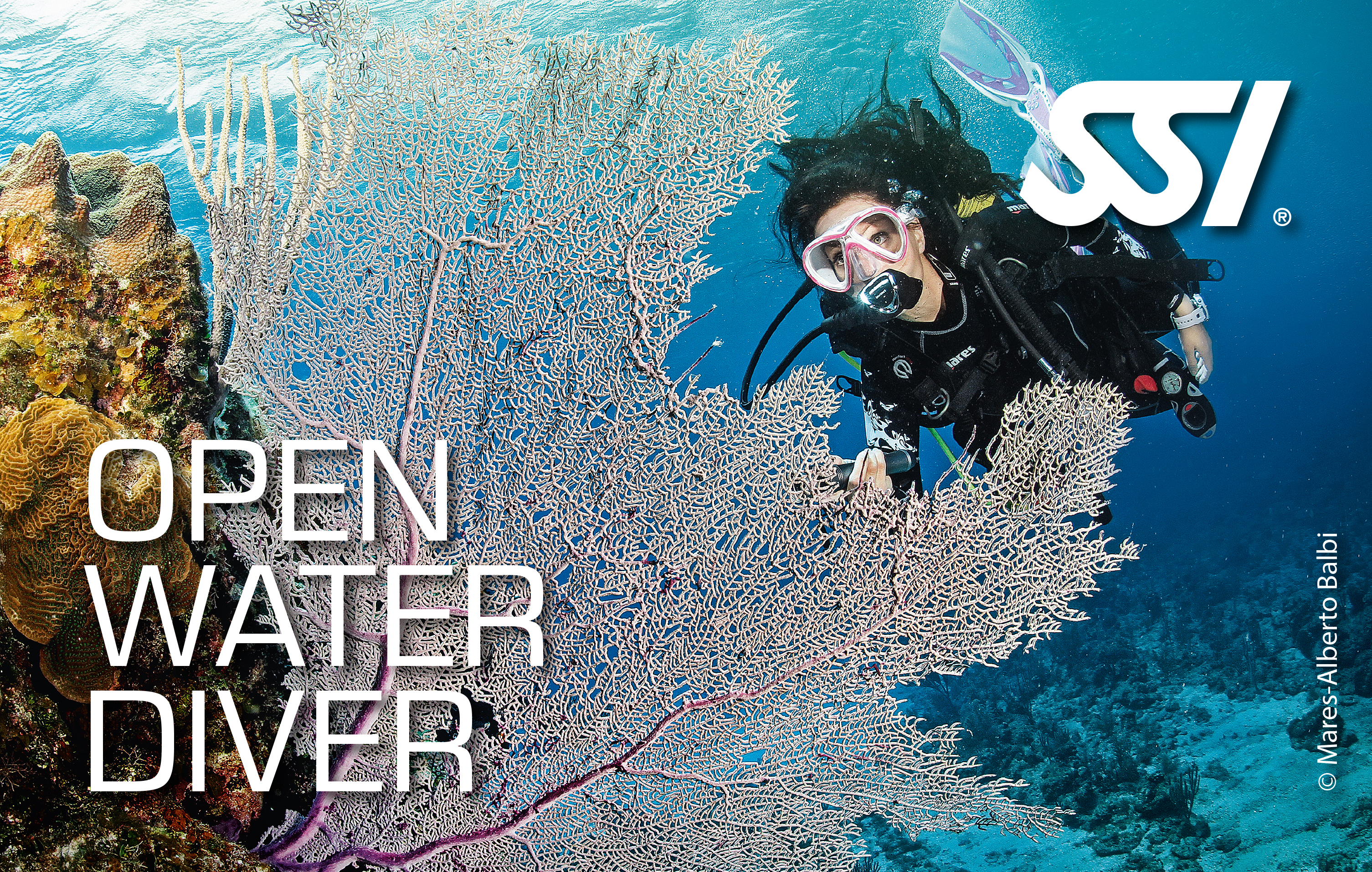 Open Water Diver SSI Into The Sea ASD