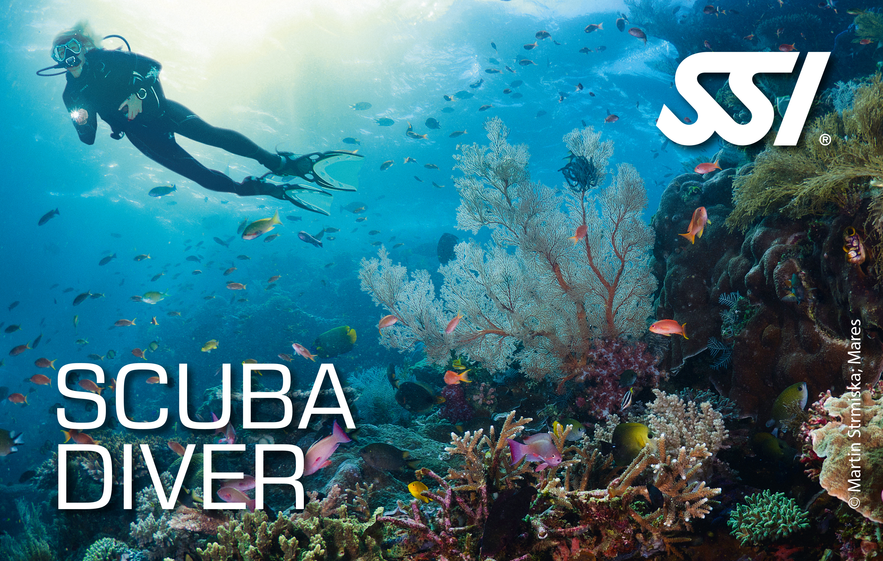 Scuba Diver SSI Into The Sea ASD