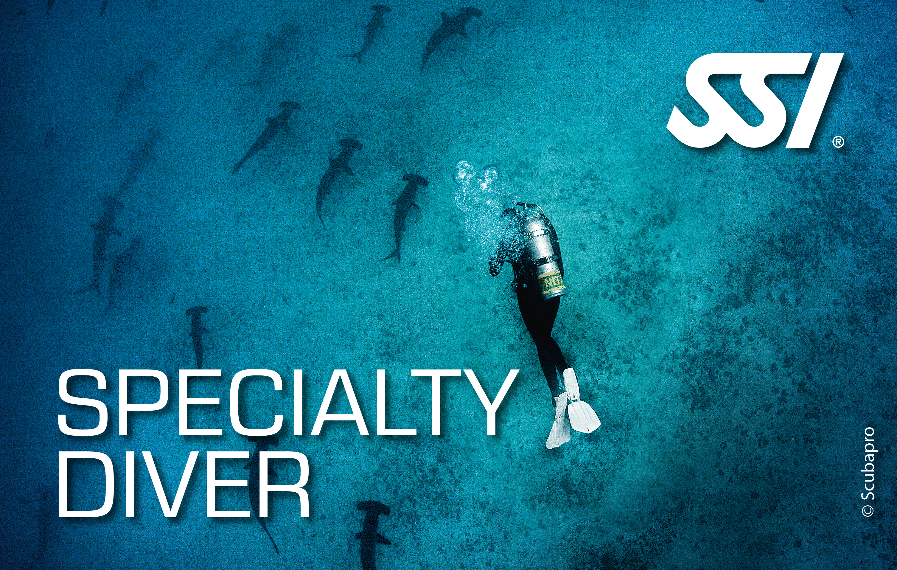 Specialty Diver SSI Into The Sea ASD